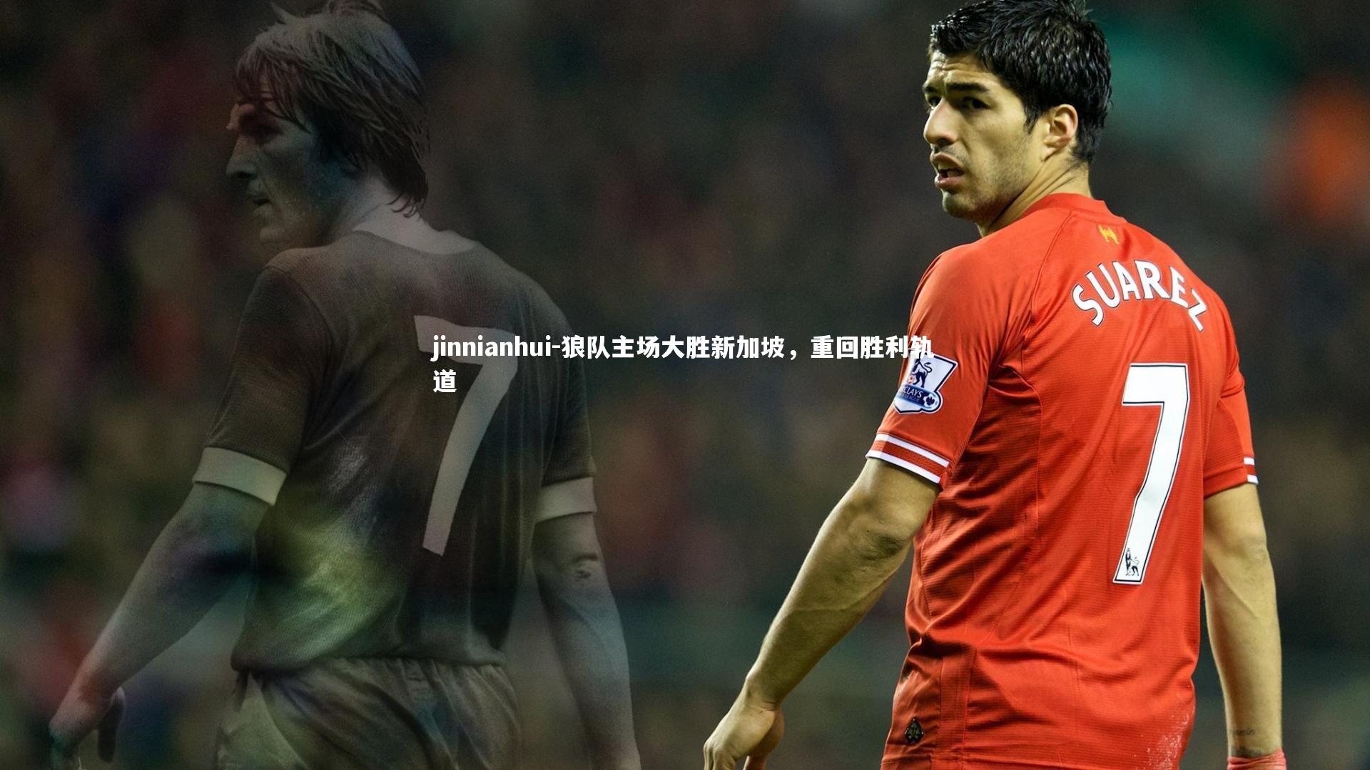 狼队主场大胜新加坡，重回胜利轨道